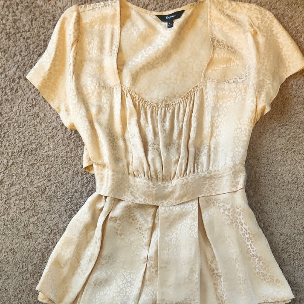 Express Dress Blouse